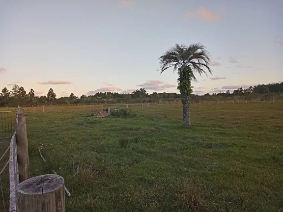 Imagem Linda área com 2 Ha., Casa, Galpão, Lavouras e Açudes, Águas Claras, Viamão
