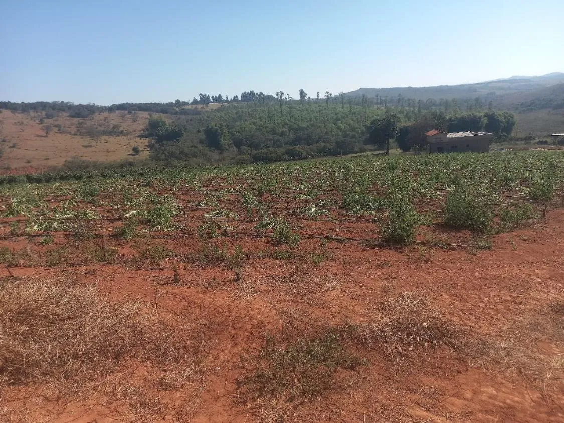 Imagem Excelente Oportunidade: Terreno de 30 Hectares em Passa tempo/MG