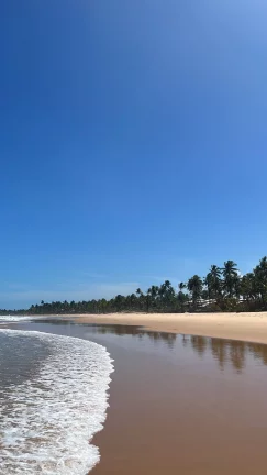 Imagem EcoCamping