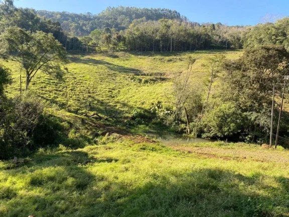 Imagem Área Agrícola para Venda em Itá, Sc-154
