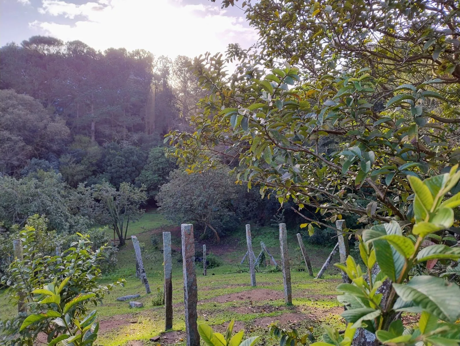 Imagem Terreno 6798m²