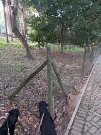 Imagem Casa com 3 dormitórios à venda, 430 m por R$ 1.999.999,99 - Condomínio Lago da Boa Vista - Sorocaba/SP