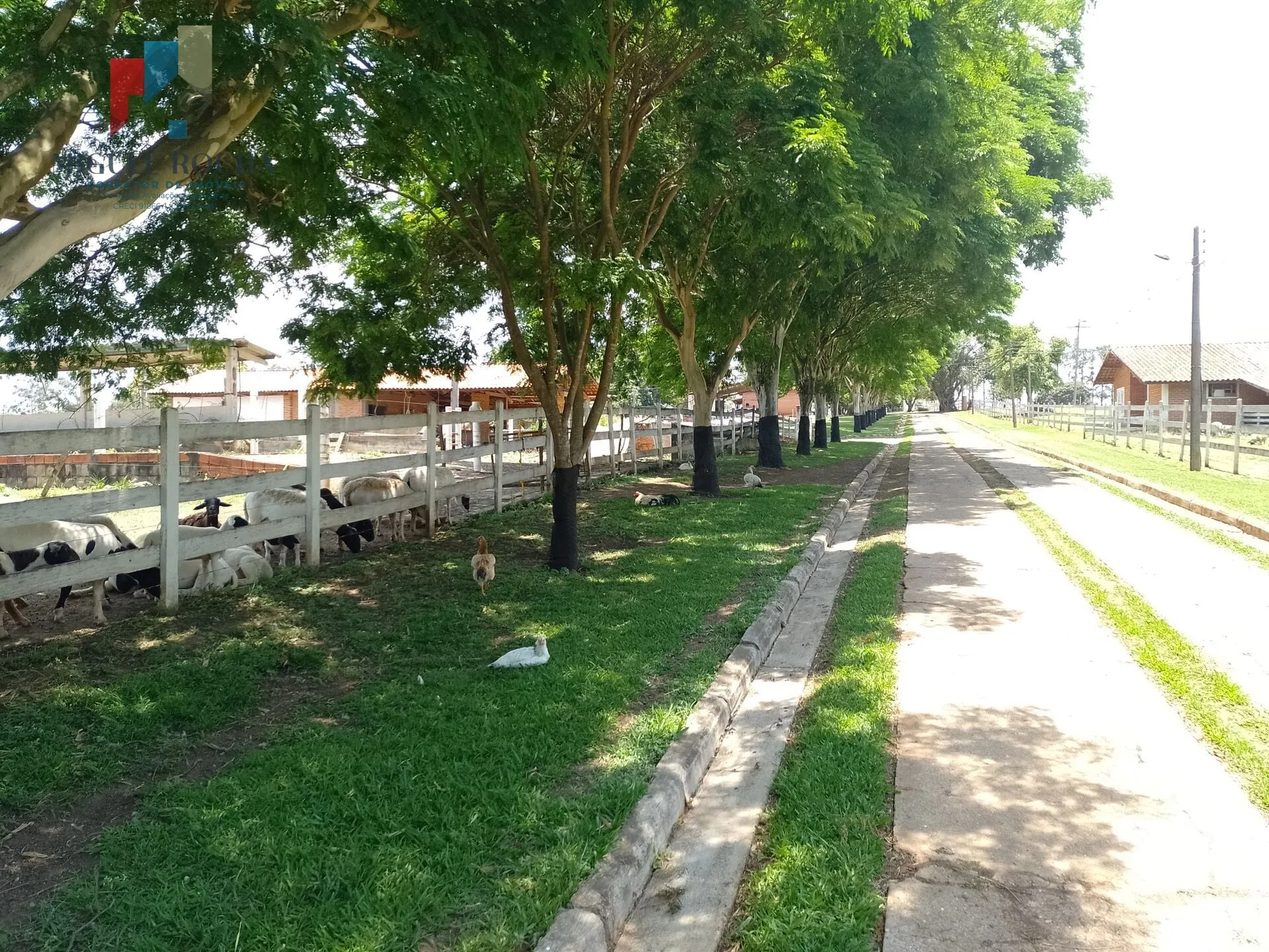 Imagem Sítio Sítio em Enxovia, Tatuí/SP