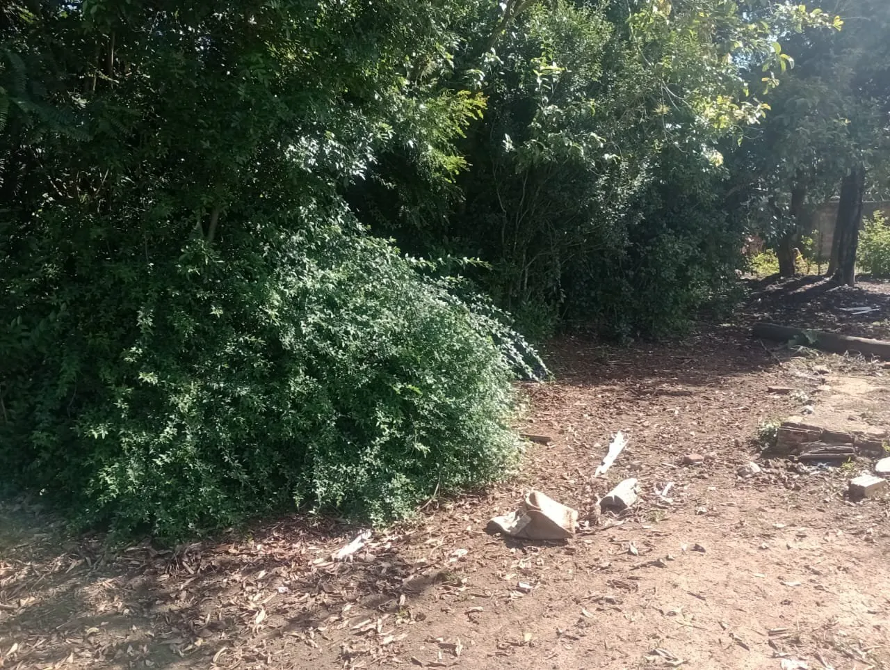 Imagem Terreno à Venda em São Lucas, Viamão