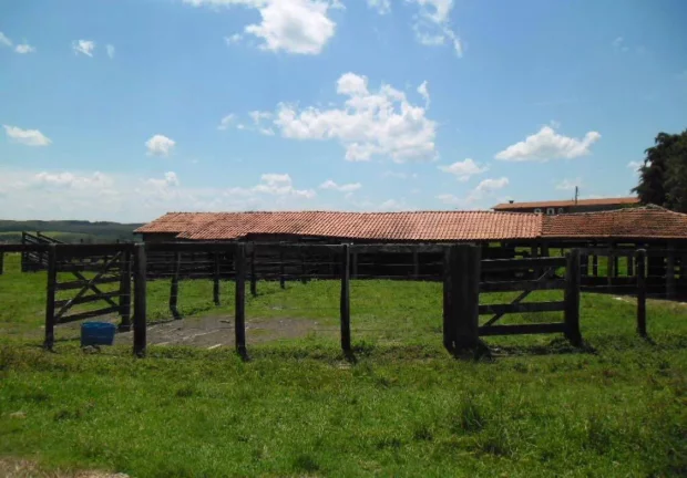 Imagem FAZENDA FORMADA no interior de São Paulo