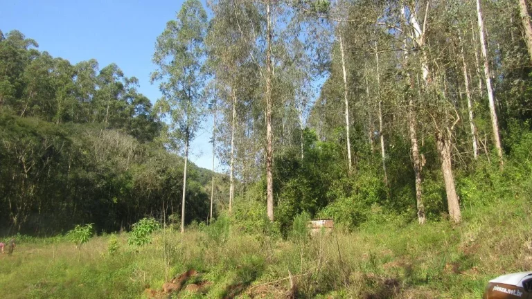 Imagem Terreno para Venda em Arabuta, Interior