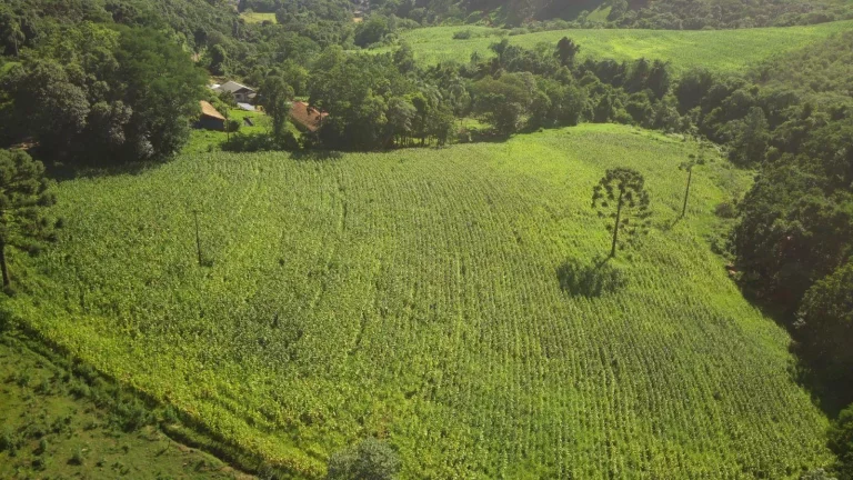 Imagem Área Agrícola para Venda em Lindóia do Sul, Rural