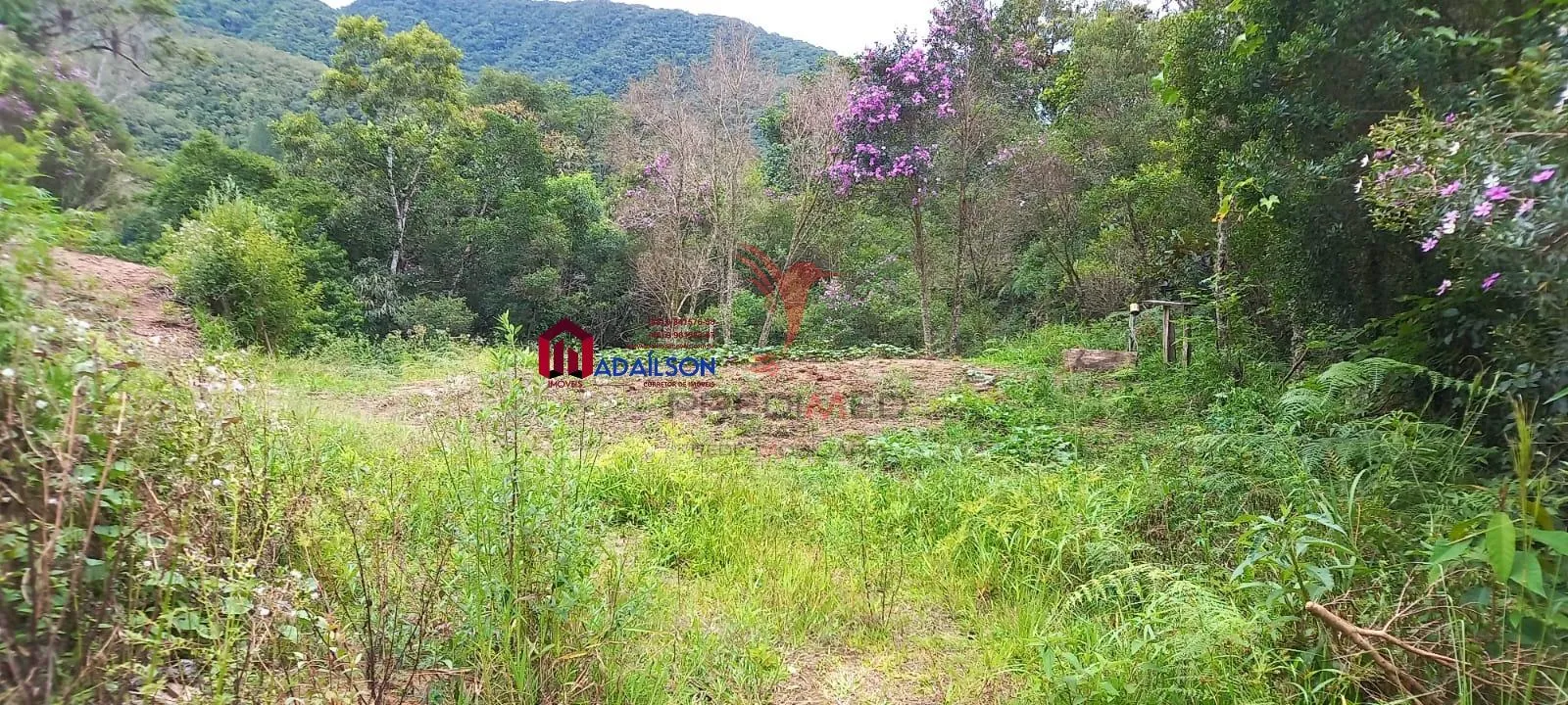 Imagem CASA VENDA EM ÁGUAS MORNAS SC