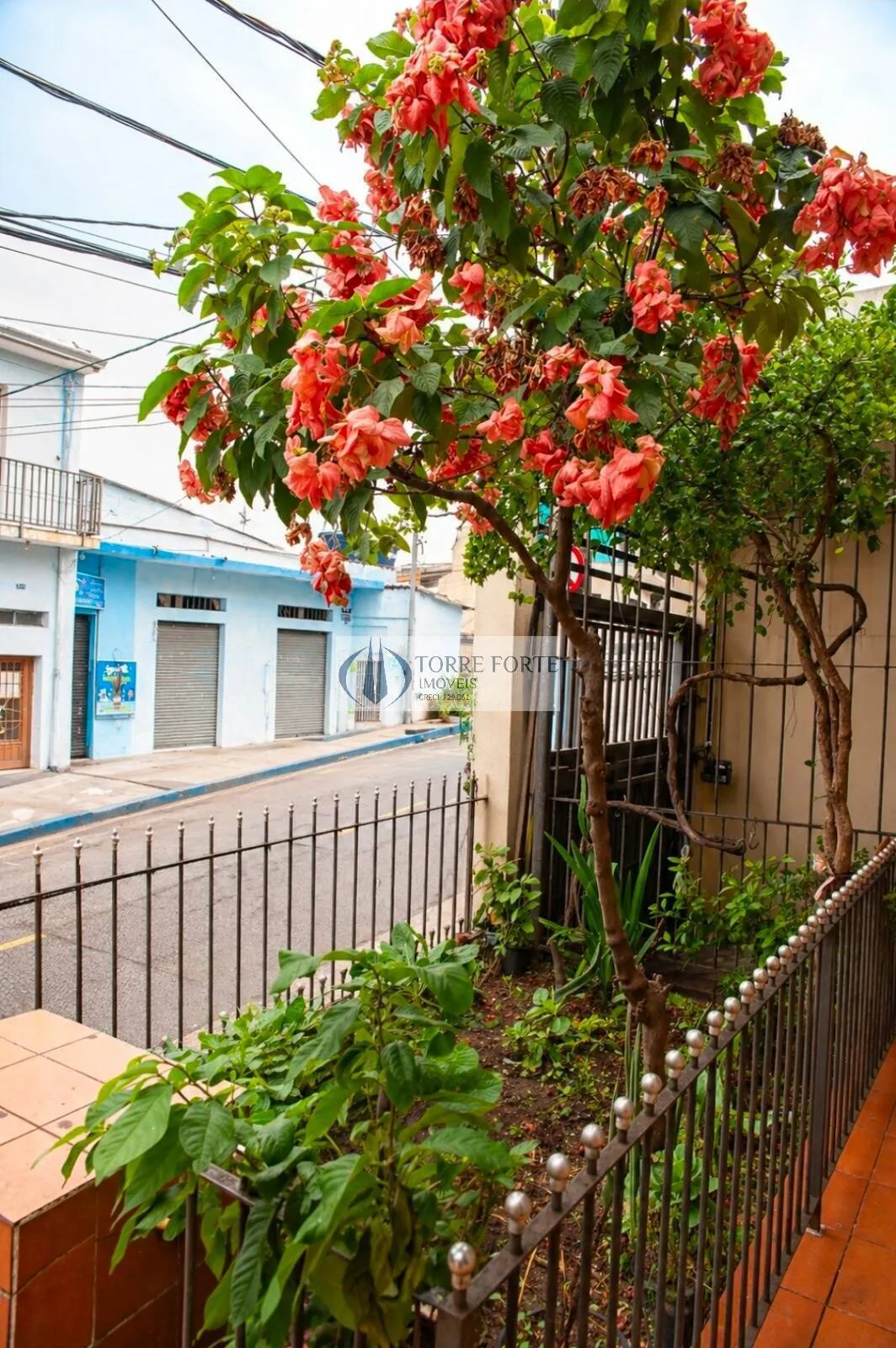 Imagem Ótima casa 170 m² 4 dorms. 1 suíte, 1 vaga de garagem, quintal, Vila Miriam