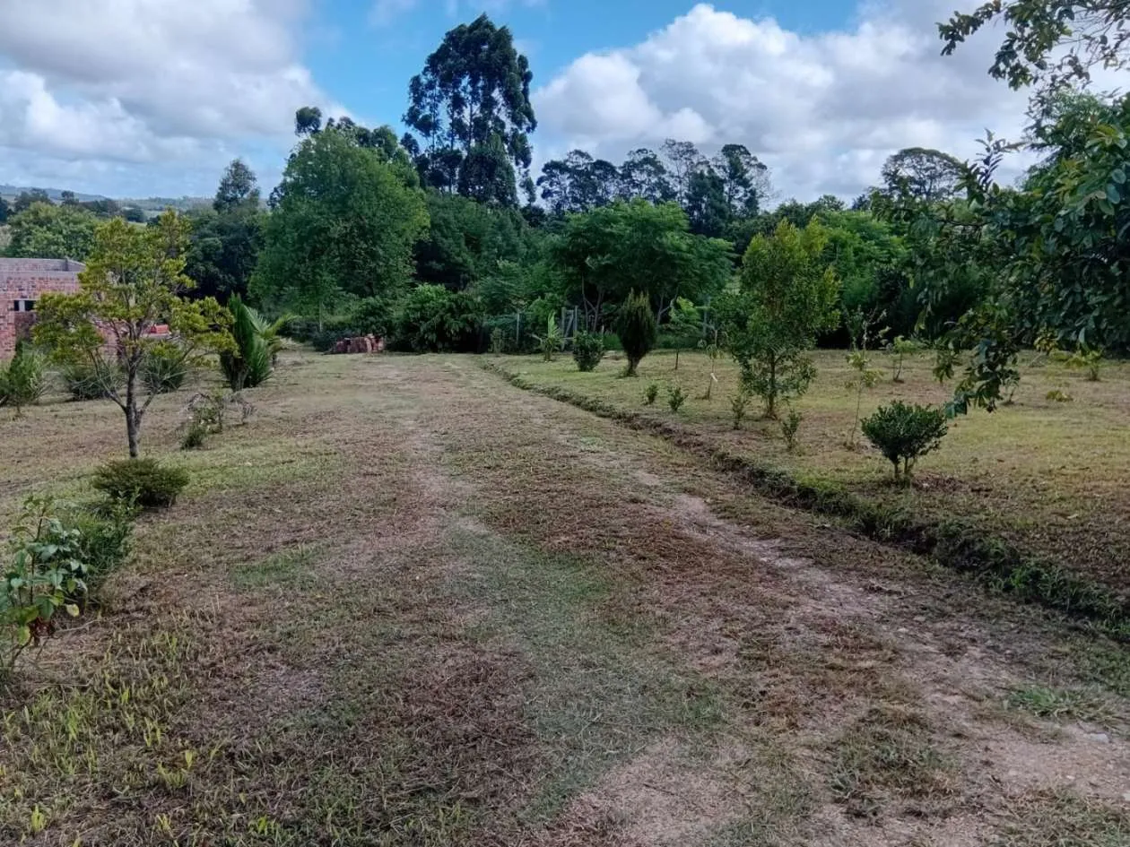 Imagem Sítio para Venda em Pelotas, Monte Bonito, 3 dormitórios, 1 banheiro, 1 vaga