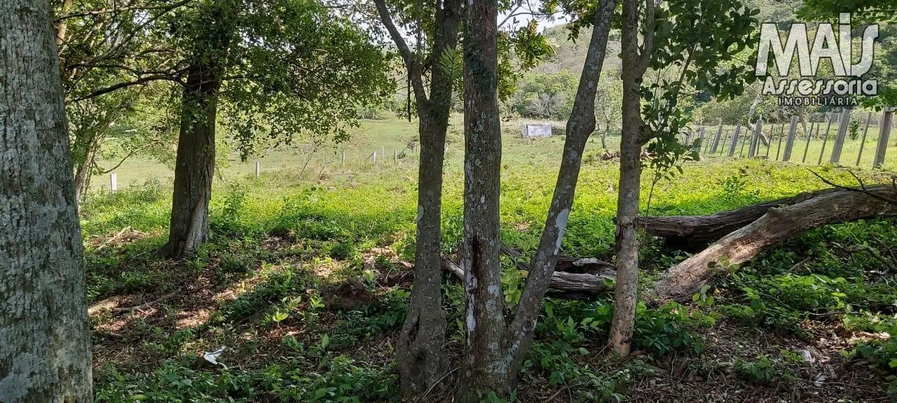 Imagem Terreno para Venda em Santo Antônio da Patrulha / RS