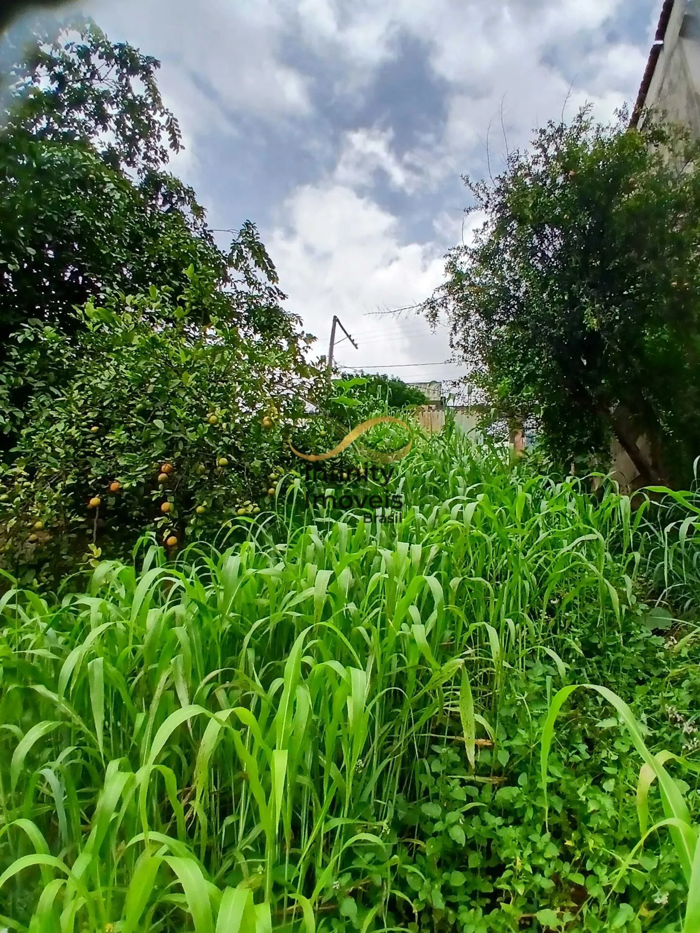 Imagem Loteamento à venda no bairro Minaslândia (P Maio) - Belo Horizonte/MG