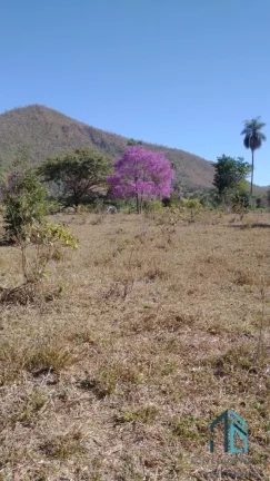 Imagem Fazenda a venda Oportunidade Única em Niquelândia Goiás- GO