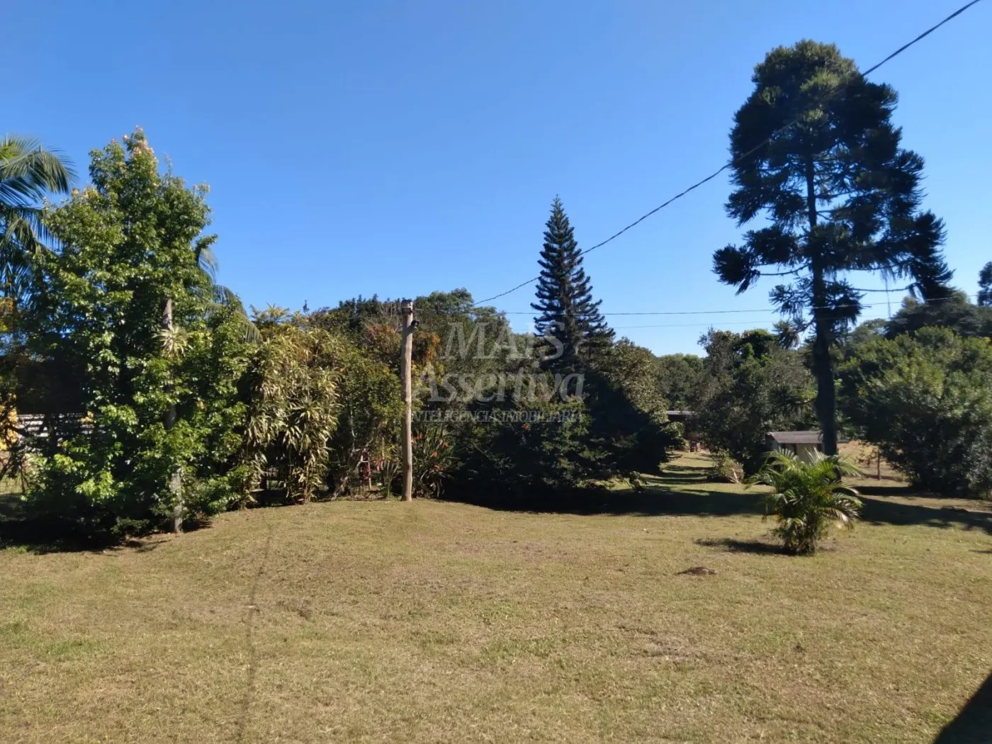 Imagem Excelente Sítio à venda em Viamão/RS - 17,9 hectares