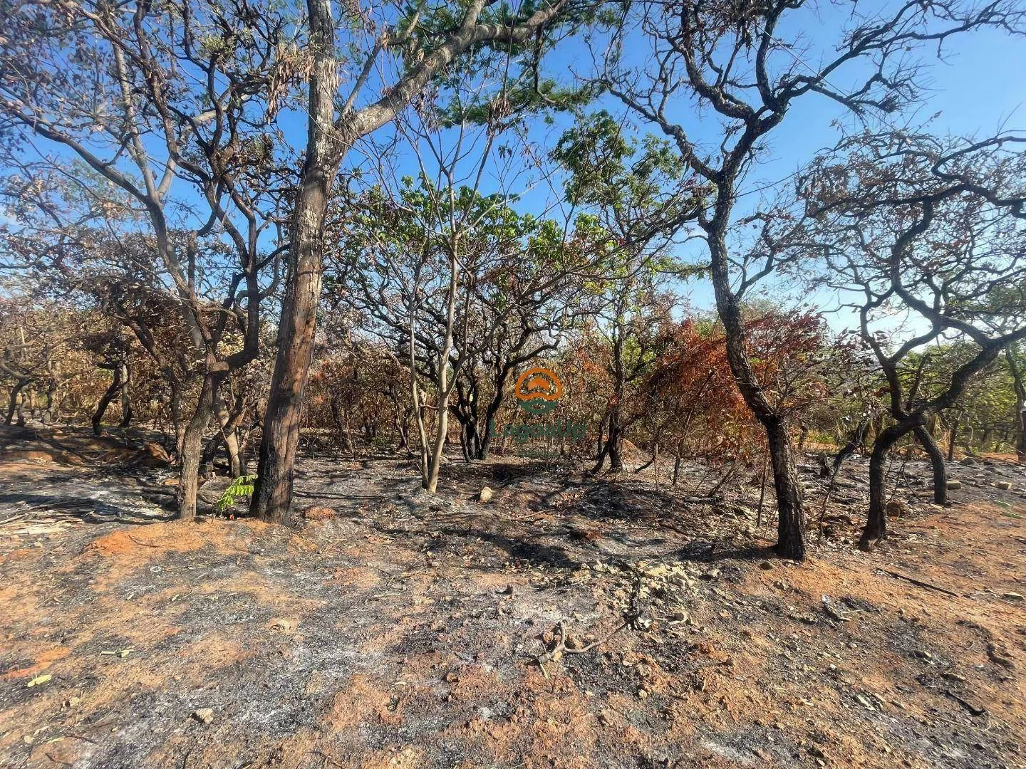 Imagem Terreno à venda no Recanto da Lagoa - Lagoa Santa, Minas Gerais