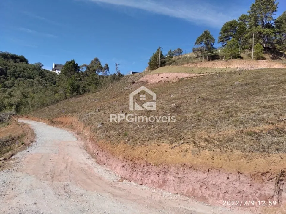Imagem Terrenos limpos