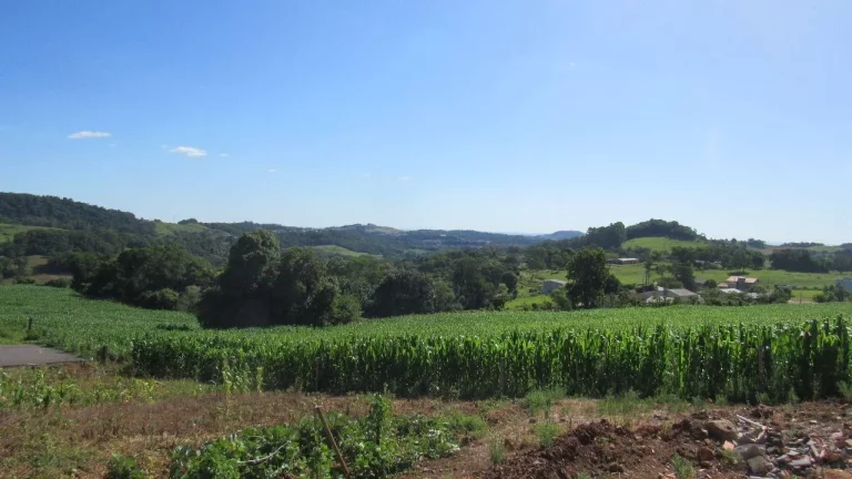 Imagem Terreno para Venda em Concórdia, Interior