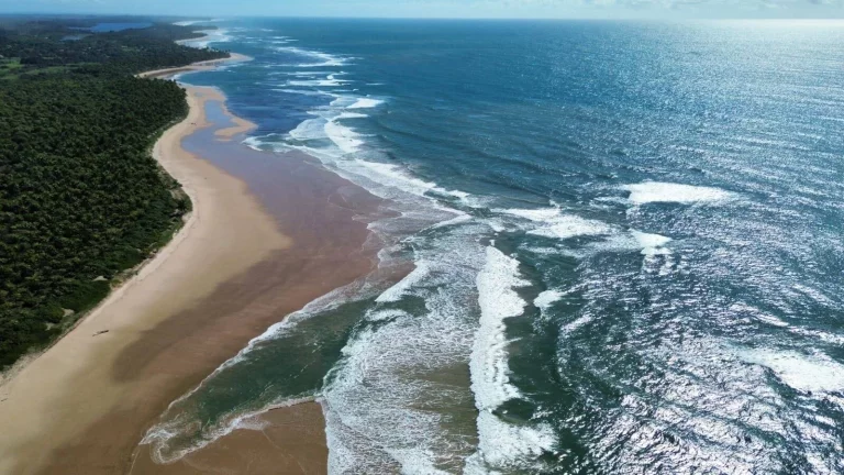 Foto do imóvel ÁREA FRENTE MAR (400m) - ALGODÕES