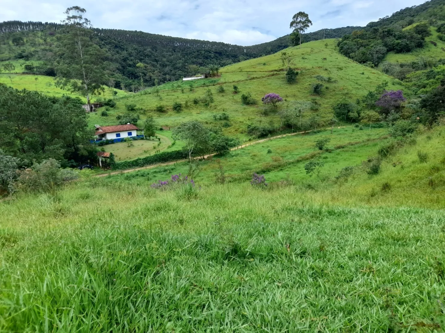 Imagem Terreno à venda 10000M², Mandú, Pindamonhangaba - SP