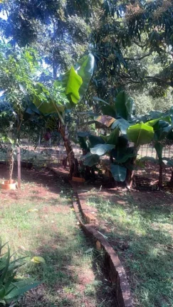Imagem Rancho a VENDA, Bairro Marilândia, AREALVA/SP