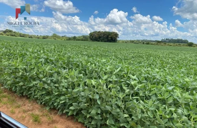 Imagem Fazenda região de Avaré SP
