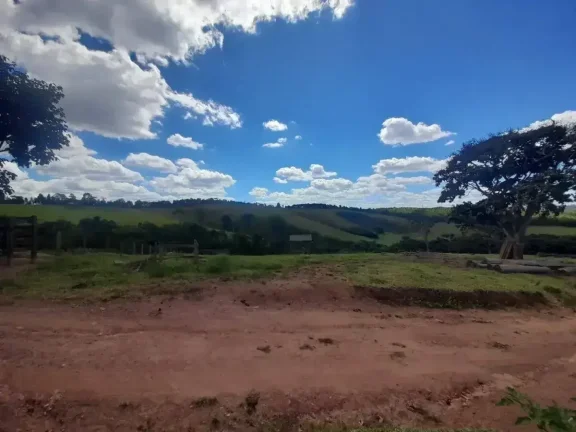 Imagem Fazenda à venda em Ibertioga, ZONA RURAL, 148ha