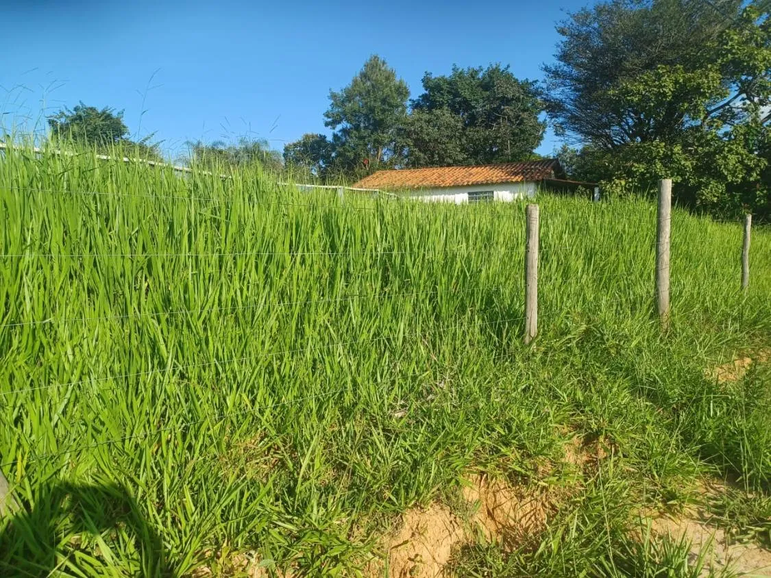Imagem Vendo excelente fazendinha em Esmeraldas/MG 78 hectares de terra