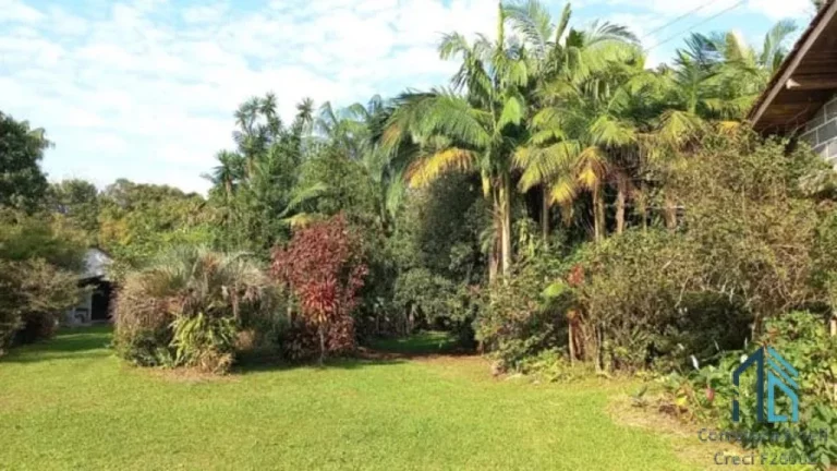 Imagem Chácara/Sítio, propriedade produtiva, 30 hectares com plantação de palmito pupunha, em Guaratuba PR