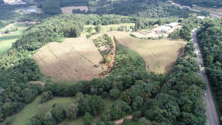 Foto do imóvel Terreno para Venda em Concórdia, Cachimbo em Br-153