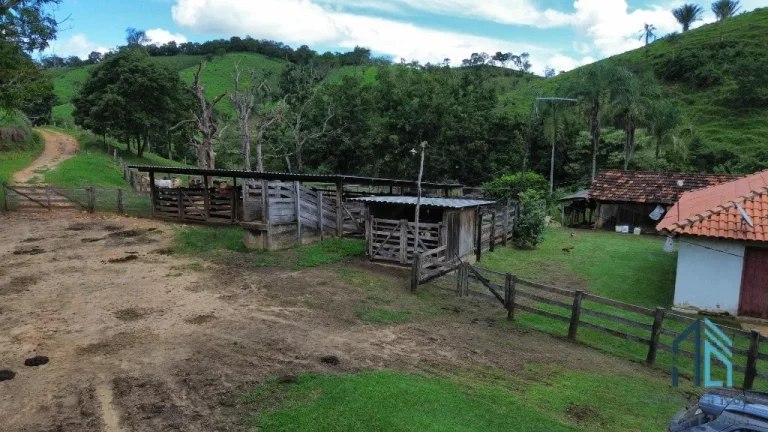 Imagem Fazenda a venda 82 alqueires em Campinacu -Goiania - GO