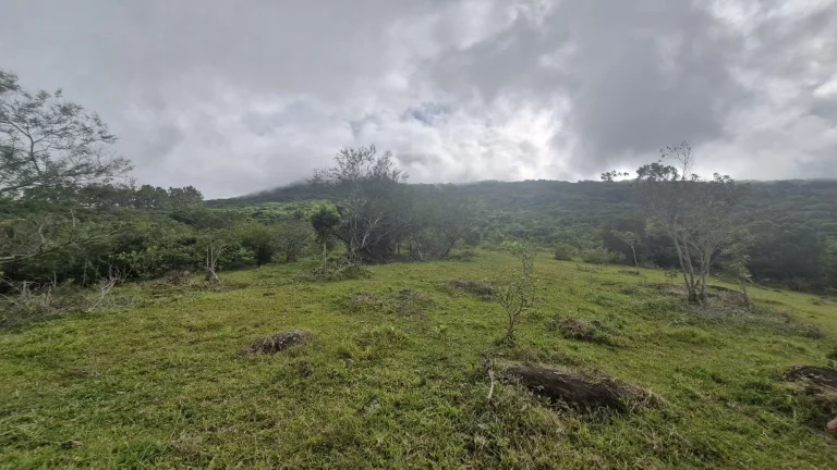 Imagem Terreno à Venda com Vista para o Mar e Lagoa do Macacu - 9,3 Hectares em Garopaba-SC!