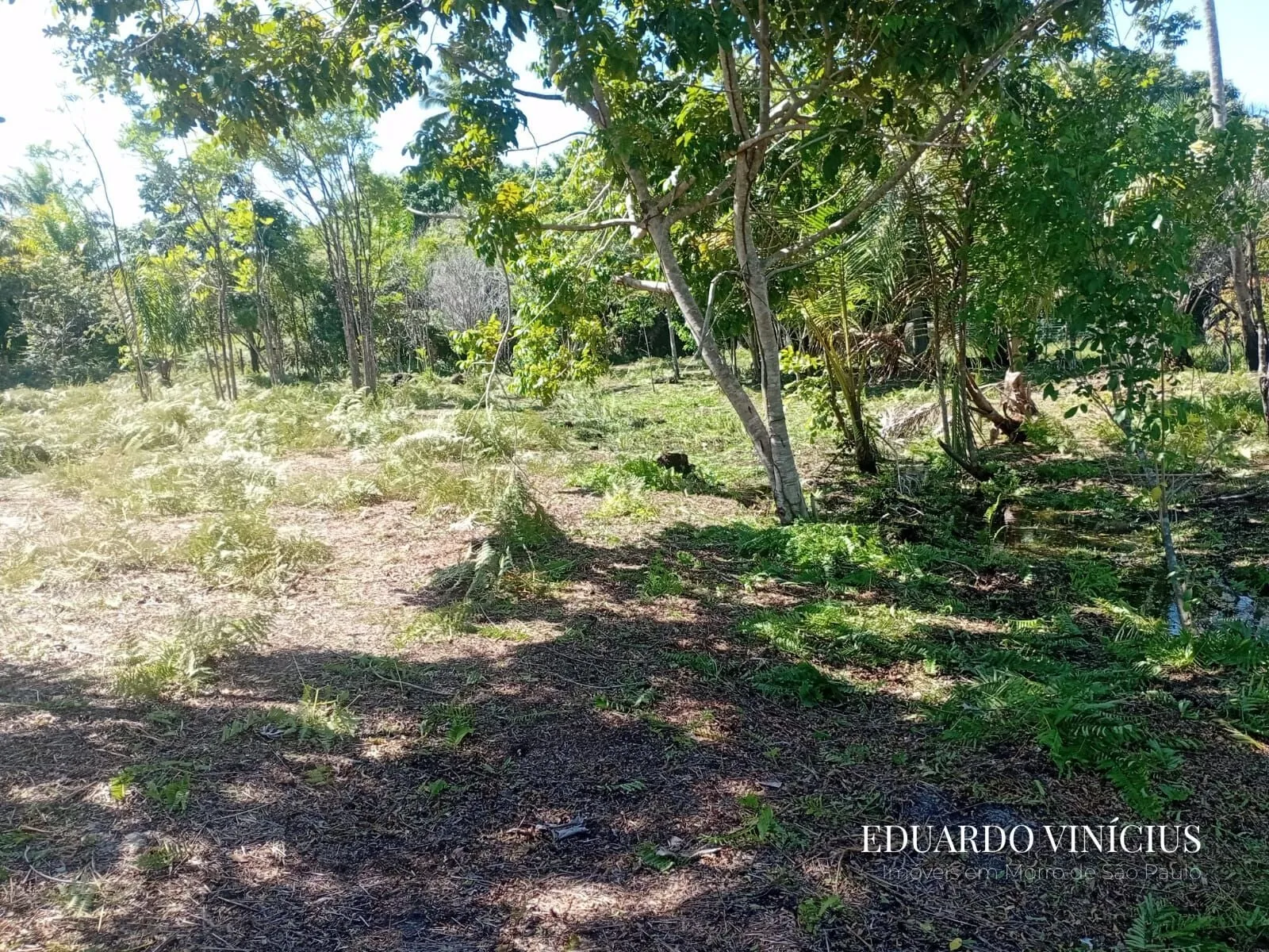 Imagem Terreno com 2.500m² em Garapuá - Morro de São Paulo