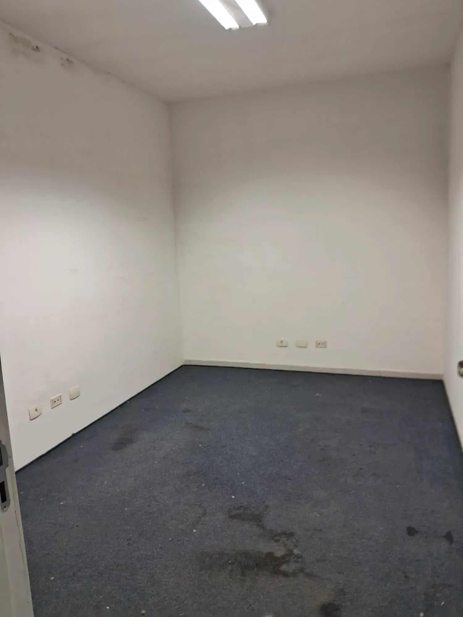 Imagem Galpão para Alugar, 242 m² em Vila Anastácio - São Paulo