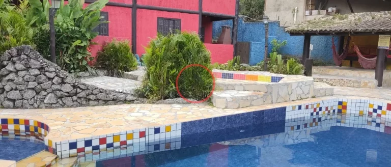 Imagem CASA ACONCHEGANTE À 500 METROS DA PRAIA DE CAMBURY COM 2 QUARTOS ,CHURRASQUEIRA , QUINTAL IDIVIDUAL 2 PISCINAS NO CONDOMINIO