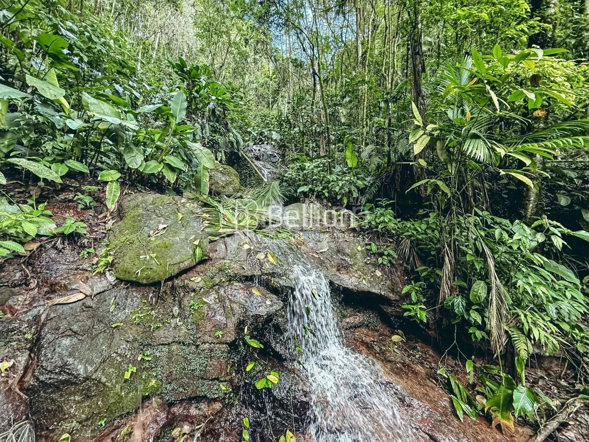 Imagem Sítio com casa em madeira de lei e riqueza em água em Rio dos Cedros