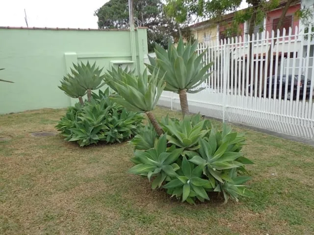 Imagem Casa para Locação 3 Quartos, 1 Suite, 3 Vagas, 600M², Centro, Pindamonhangaba - SP