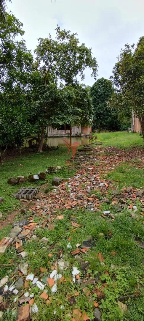 Imagem Chácara em Blumenau. Com rancho em construção. Lagoa com água. Poço artesiano. Pomar