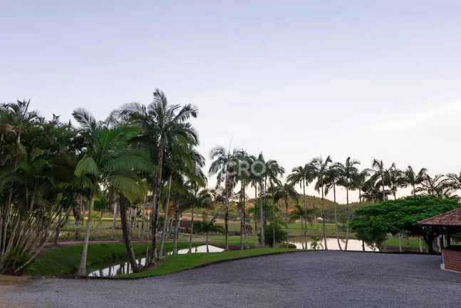 Imagem Chácara | Guaramirim (Tibagi) | 158.500m²