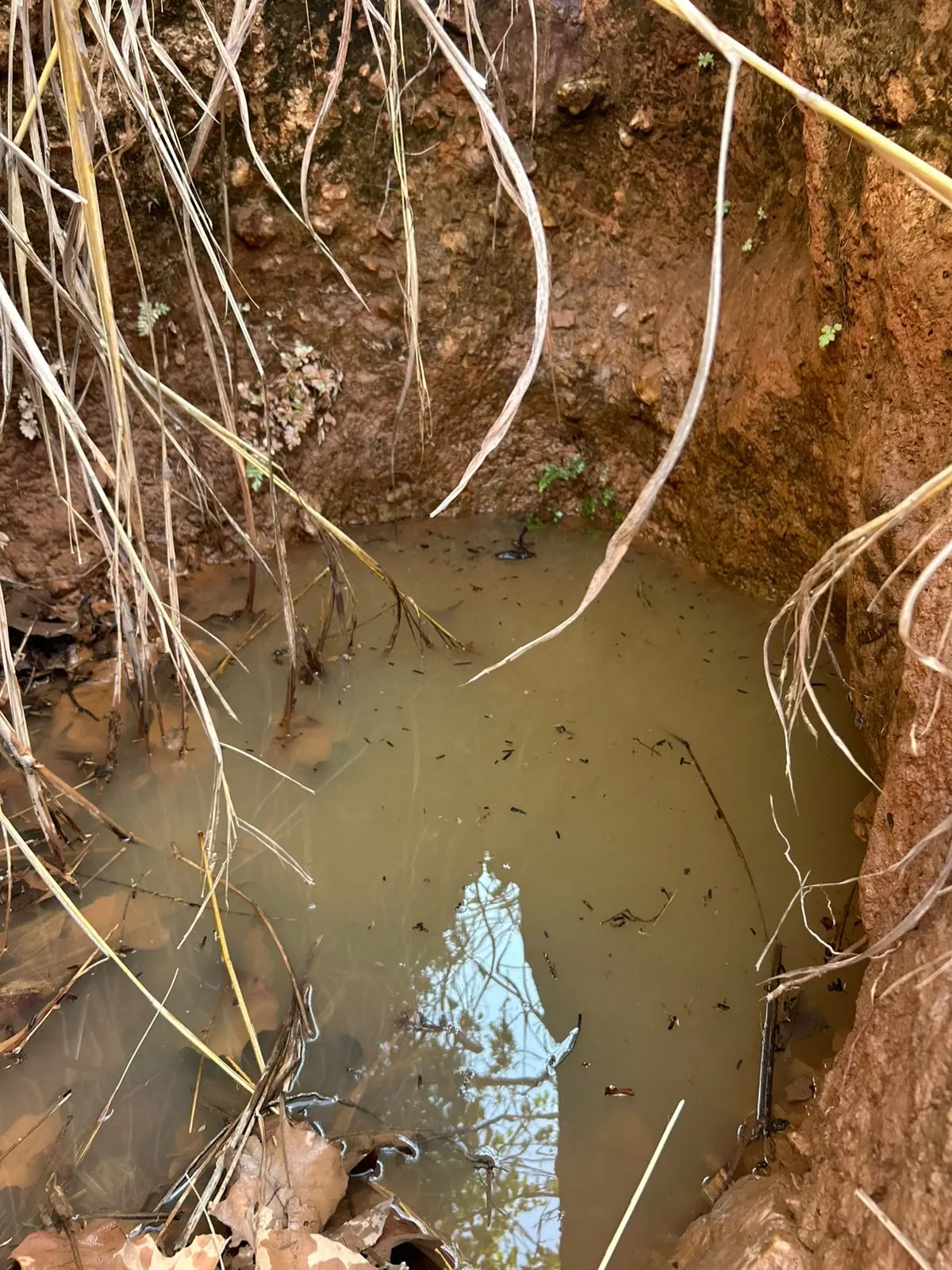 Imagem Terreno na estrada do manso