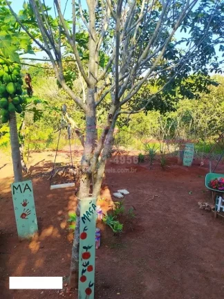 Imagem Chácara com 2 casa de campo - INVESTIMENTO pra você que quer morar ou aluga