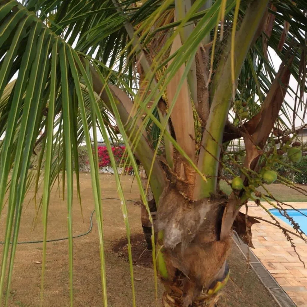 Imagem Casa com 4 Suítes no Condomínio Haras São Luiz I- Sorocaba-SP