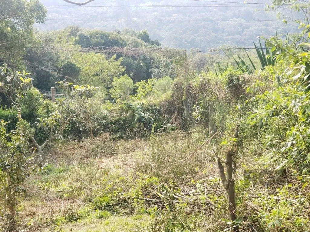 Imagem Terreno em Vila Nova