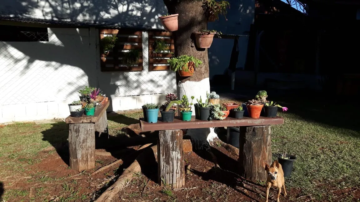 Imagem Linda Chácara a Venda Em Araçoiaba da Serra