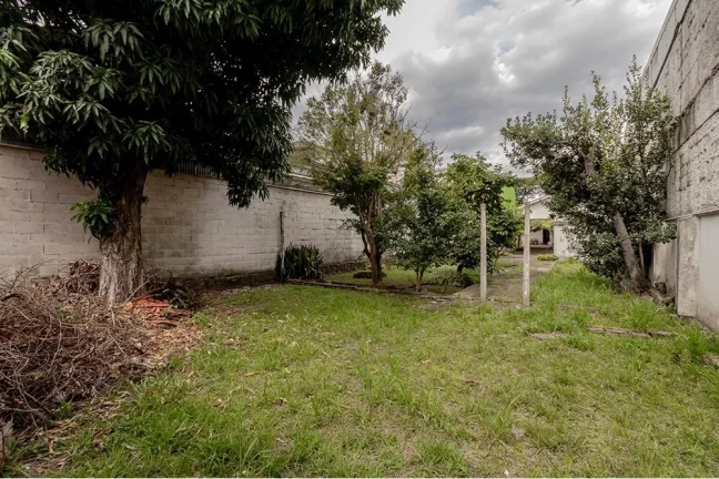 Imagem Terreno/Lote Residencial para venda no bairro Menino Deus em Porto Alegre