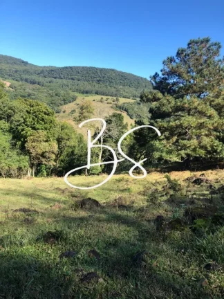 Imagem SITIO RURAL em SÃO FRANCISCO DE PAULA - RS, Padilha
