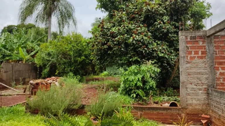 Imagem Casa para Venda em Maringá / PR no bairro Vila Morangueira