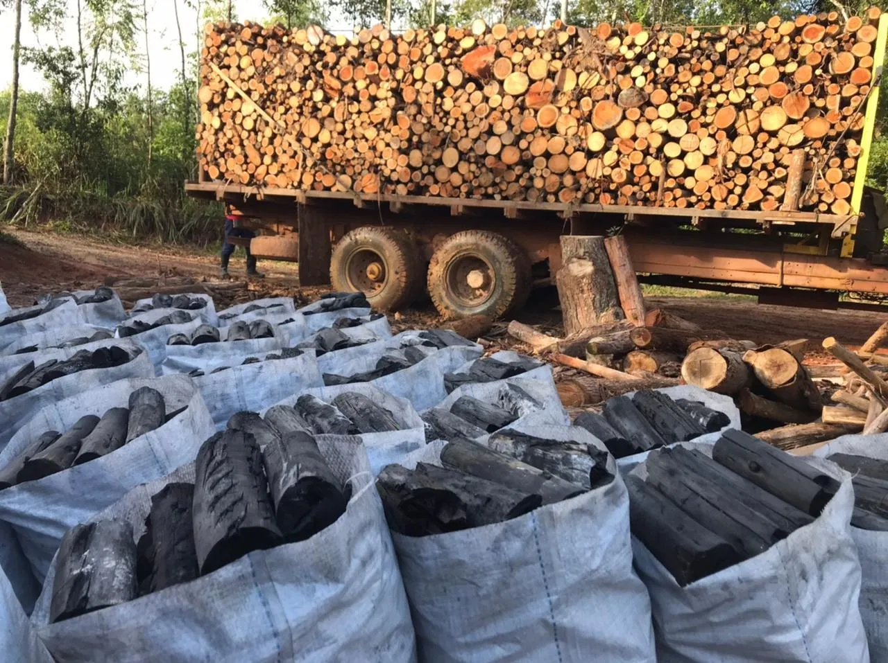 Imagem Refúgio Sereno: Propriedade com Carvoaria e Potencial de Renda em Pilar do Sul