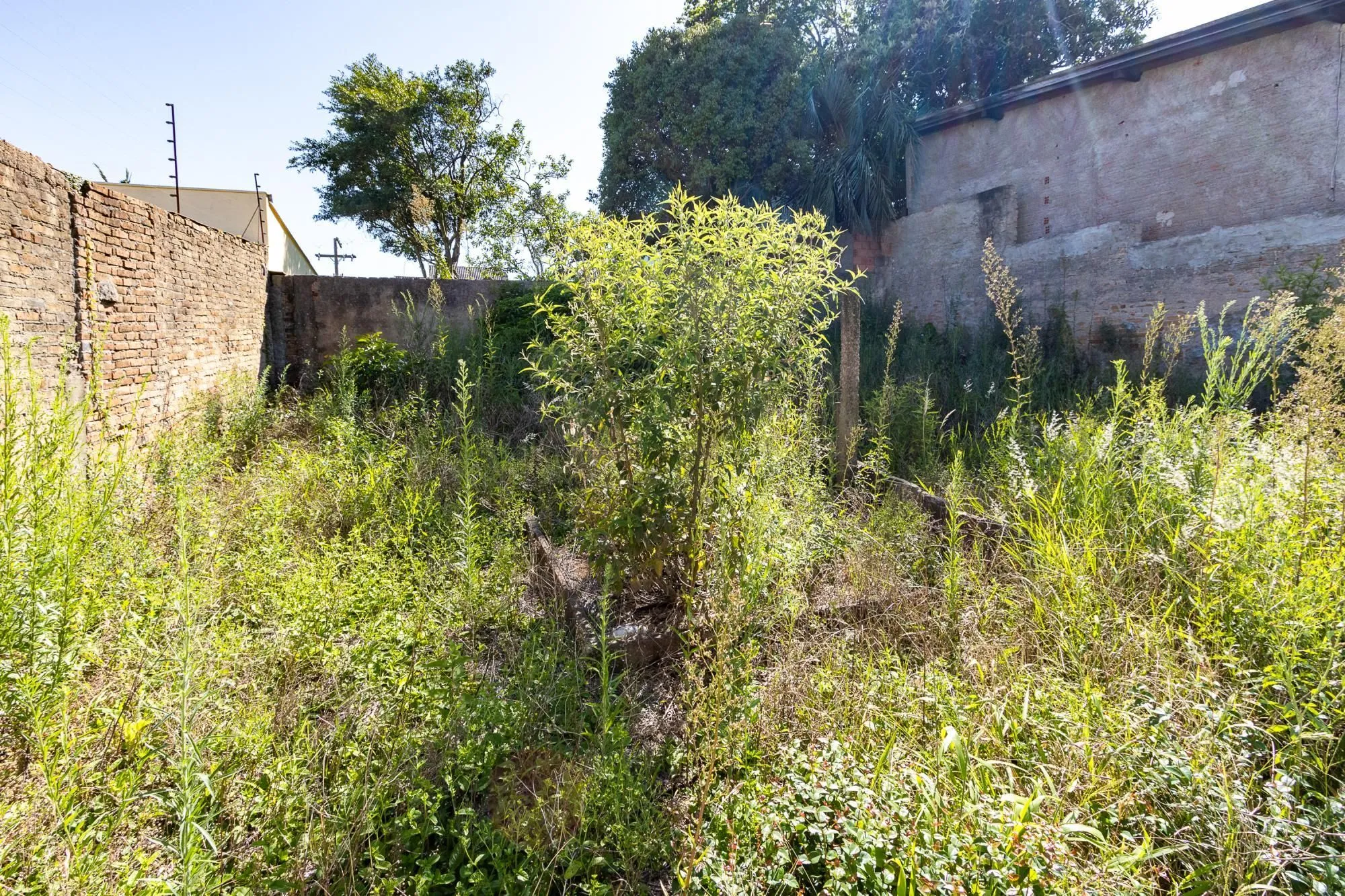 Imagem Terreno em Teresópolis