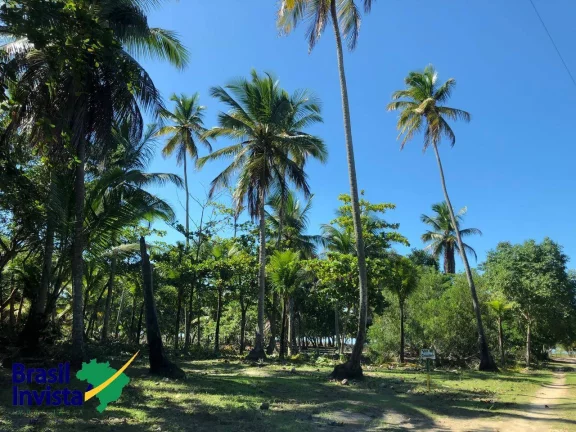 Imagem ÁREA PÉ NA AREIA NO EXTREMO SUL DA BAHIA