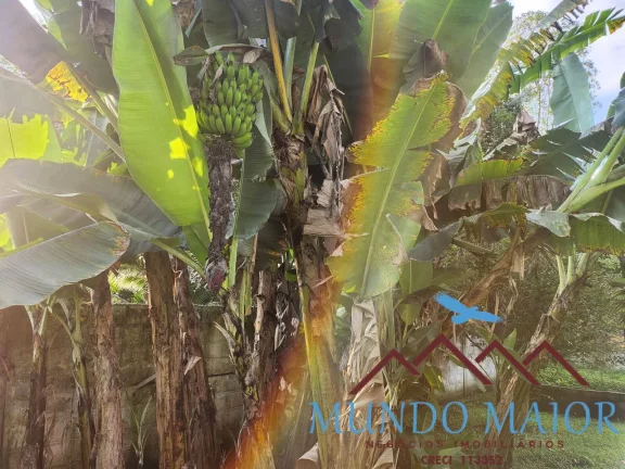 Imagem Seu Refúgio na Natureza em Suzano Com Piscina e Permuta por Imóvel no ABC